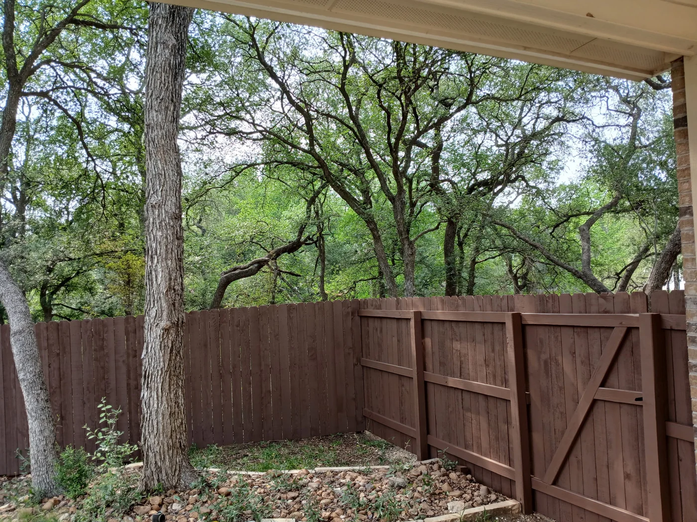 A wooden gate and adjoining fence beneath mature trees.