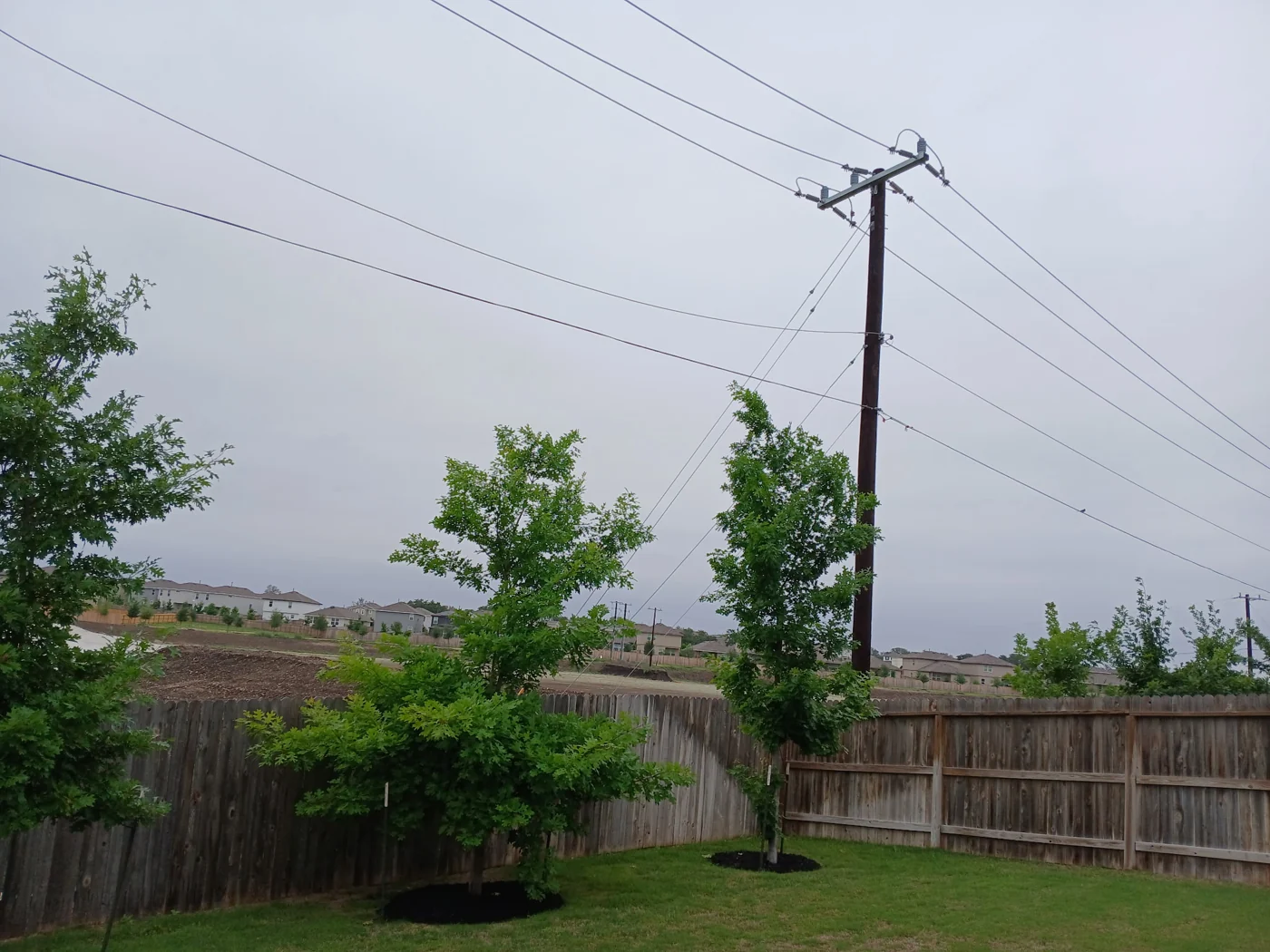 A wide view of the backyard fence and the outdoor space it frames.