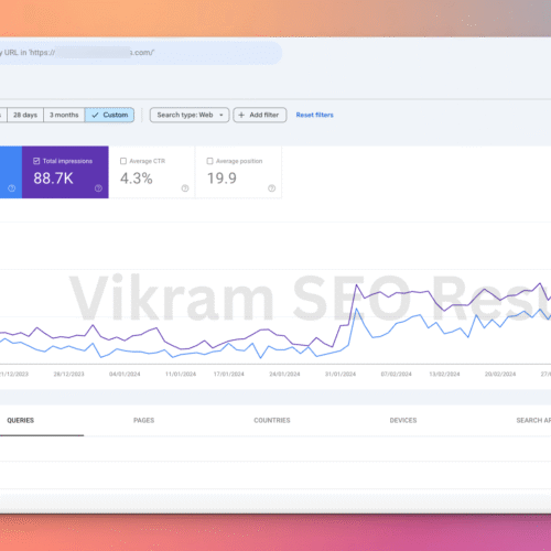 Niche E-commerce Store (300% Growth)